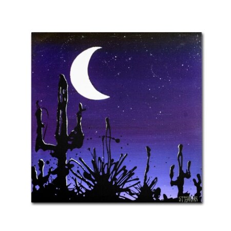 Trademark Fine Art Roderick Stevens 'Desert Moon' Canvas Art, 24x24 RS901-C2424GG
